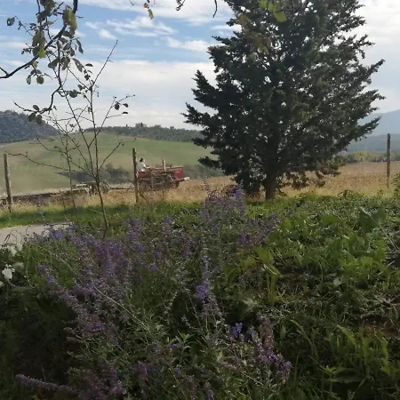 Gospodarstwo agroturystyczne Podere Stabbiatelli Montenero d'Orcia